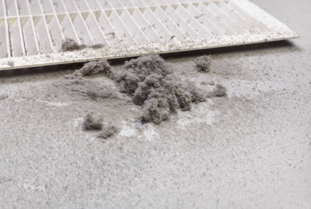 Best Affordable Duct Cleaning Services  in Camp Hill, PA